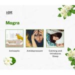 Buy Love Earth Reed Diffuser Mogra Aromatherapy 30 ml - Purplle