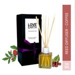 Buy Love Earth Reed Diffuser Coffee Light Fragrance - Purplle