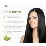 Buy Love Earth Organic Neem Oil With Natural Virgin Cold Pressed Neem For Hair & Skincare, Reduces Dandruff & Skin Inflammation - 100 ml - Purplle