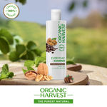 Buy Organic Harvest Everyday Shampoo: Coffee & Walnuts | For Dry & Frizzy Hair | Anti-hairfall Shampoo For Men & Women | 100% American Certified Organic | Sulphate and Paraben-free - 250ml - Purplle