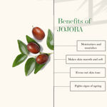 Buy Good Vibes 100% Natural Jojoba Skin Replenishing Facial Oil (10 ml) - Purplle