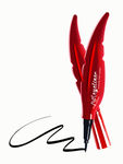 Buy AYA Waterproof 24 Hours Long Lasting Feather Eyeliner, Black ( 2ml) - Purplle