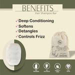 Buy Zenvista Meditech Shampoo Bar with Castor Oil, Coconut Oil & Natural Conditioners for Wavy Hair, Straight Hair.100% Biodegradable Plastic Free Packing (100 gm) - Purplle
