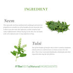 Buy Khadi Natural Neem-Tulsi Herbal Face Pack| Reduces Wrinkles & Finelines - (50gm) - Purplle