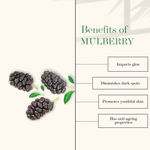 Buy Good Vibes Tea Tree + Mulberry Skin Glow & Oil Control Serum | Anti-Ageing| With Castor Oil | No Parabens, No Sulphates, No Silicones (30 ml) - Purplle