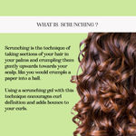 Buy Alps Goodness Scrunching Gel For Curly Hair with Aloe Vera, Jojoba Wax & Oat Protein | Enriched with Ginseng Root Extract (100g)| Curly Hair product | Curly Hair Gel | Sulphate Free, Silicone Free, Paraben Free, Phthalates Free, Propylene Glycol Free - Purplle