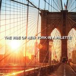 Buy Maybelline New York New City Mini Eyeshadow Palette, Shimmery and Metallic Finish - Brooklyn Orange 6.1 ml - Purplle