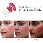 Buy Just Herbs Lip and Cheek Tint ( pack of 2) : Must Haves - Pink Forever and Brick Red - Purplle