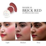 Buy Just Herbs Lip and Cheek Tint ( pack of 2) : Must Haves - Pink Forever and Brick Red - Purplle