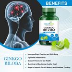 Buy Healthmeds Ginkgo Biloba With Brahmi for Ultimate Health & Nutrition Supplements For Healthy Brain & Rejuvanation (For Men & Women) - 60 Capsules - Purplle