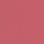 Buy Swiss Beauty Soft Matte Lip Cream - Paris-Fashion (6 ml) - Purplle