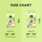 Buy Pee Safe Adult Diaper | Medium - Large | Waist Size 71-114 cm (28"-45") | High Absorbency 10 Pcs - Purplle