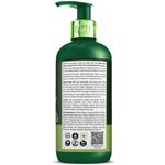 Buy WOW Skin Science Green Tea & Tea Tree Anti-Dandruff Shampoo (300 ml) - Purplle