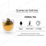 Buy TeaTreasure Caffeine Free Tea Pyramid Tea Bags Collection - an Assorted Sampler Gift Box - Purplle