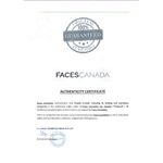 Buy Faces Canada Hi Shine Nail Enamel Chrome-113 (9 ml) - Purplle