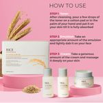 Buy The Face Shop Rice & Ceramide Moisturizing Skincare Set, complete travel friendly skincare routine 3 pieces - Purplle