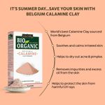 Buy Indus Valley bio organic 100% natural Calamine clay powder-250 gm - Purplle