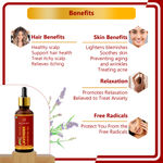 Buy Newish Lavender 100 % Natural Essential Oil Therapeutic Grade For Skin Hair And Acne Care& Diffuser 30 ml - Purplle