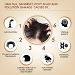 Buy Iba Professional Black Seed Therapy Shampoo | Kalonji Extract For Healthy Scalp & Stronger Hair | Deep Cleansing Formula For All Hair Types | No Sulfate No Paraben, 230 ml - Purplle