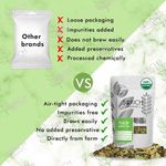 Buy Sorich Organics Tulsi Green Tea - Detox Tea, Calming Tea, Relieves Anxiety and Stress - 200 Gm - Purplle