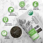 Buy Sorich Organics Dry Nettle Leaves - Urtica Dioica, Health Boosting Herbal Tea - 100 Gm - Purplle
