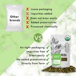 Buy Sorich Organics Dry Nettle Leaves - Urtica Dioica, Health Boosting Herbal Tea - 100 Gm - Purplle