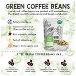 Buy Sorich Organics Green Coffee Beans for Weight Management - 400 Gm - Purplle