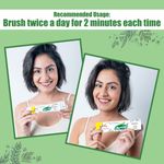 Buy DR. MOREPEN Active Smile Herbal Toothpaste With Neem, Clove & Menthol - 100gm - Purplle