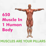 Buy DR. MOREPEN Muscle Food Protein Powder, Whey Protein Isolate Muscle Protein Drink, Watermelon Flavour - 32gm - Purplle