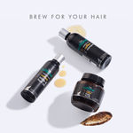 Buy mCaffeine Coffee Hair Fall Control Kit with Protein, Redensyl, Natural AHA & Argan Oil | Shampoo, Hair Oil, Scalp Scrub | All Hair Types | Sulphate & Silicone Free 700 ml - Purplle
