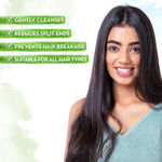 Buy Mamaearth Rice Water Shampoo With Rice Water & Keratin For Damage repair (250 ml) - Purplle