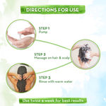 Buy Mamaearth Rice Water Shampoo With Rice Water & Keratin For Damage repair (250 ml) - Purplle