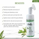 Buy Globus Naturals Tea Tree Acne Control Foaming Face wash With Silicon Face Massage Brush (150 ml) - Purplle