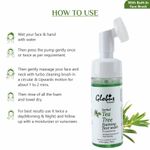 Buy Globus Naturals Tea Tree Acne Control Foaming Face wash With Silicon Face Massage Brush (150 ml) - Purplle