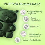 Buy Plix Japanese Matcha Weight Loss Gummies | 2 Pack Of 120 Gummies | Spinach And Spirulina Powder | Aids digestion | Burns Fat | Increase Metabolism - Purplle