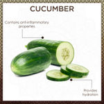 Buy Vayam Ayurveda 98% Natural Cucumber Dark Circle Reducer Under Eye Serum (10 ml) - Purplle