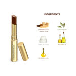 Buy Forest Essentials Tinted Lip Serum Madhu Rasa Misri Cardamom 2.2 gms - Purplle