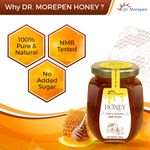 Buy DR. MOREPEN Natural & Pure Honey NMR Tested & No Sugar Adulteration - 250g - Purplle