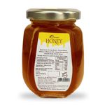 Buy DR. MOREPEN Natural & Pure Honey NMR Tested & No Sugar Adulteration - 250g - Purplle