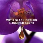 Buy LUX Shower Gel, Black Orchid Fragrance & Juniper Oil Bodywash, 245 ml - Purplle