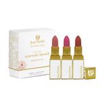 Buy Just Herbs Ayurvedic Creamy Matte Half-Size Lipstick Kit - Peachy Coral , Subtle Tea Rose Pink & Caramel Medium Brown (Set of 3) - Purplle