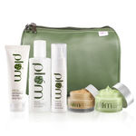 Buy Plum Green Tea Face Care Kit With Kit Bag and Plum Green Tea Renewed Clarity Night Gel | For Oily, Acne Prone Skin | Green Tea Extracts | Deep Exfoliation | Ultra-Hydration |100% Vegan, Cruelty Free - Purplle