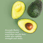 Buy True Frog Everyday Hair Conditioner - Purplle