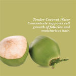 Buy True Frog Everyday Hair Conditioner - Purplle