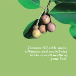 Buy True Frog Everyday Hair Conditioner - Purplle
