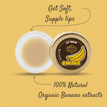 Buy The Paradise Tree'S Banana Lip Balm - 5grams - Purplle