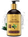 Buy Spantra Tea tree Conditioner for Add Healthy Shine to Greasy Hair, 300ml - Purplle