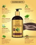 Buy Spantra Tea tree Conditioner for Add Healthy Shine to Greasy Hair, 300ml - Purplle