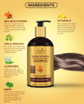 Buy Spantra Sea buckthorn Shampoo Enriched with organic oil of sea buckthorn, Moisturizes and Softens, 300ml - Purplle