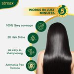 Buy Streax Insta Shampoo Hair colour for 100% Grey Coverage, Dark brown, 25 ml - Purplle